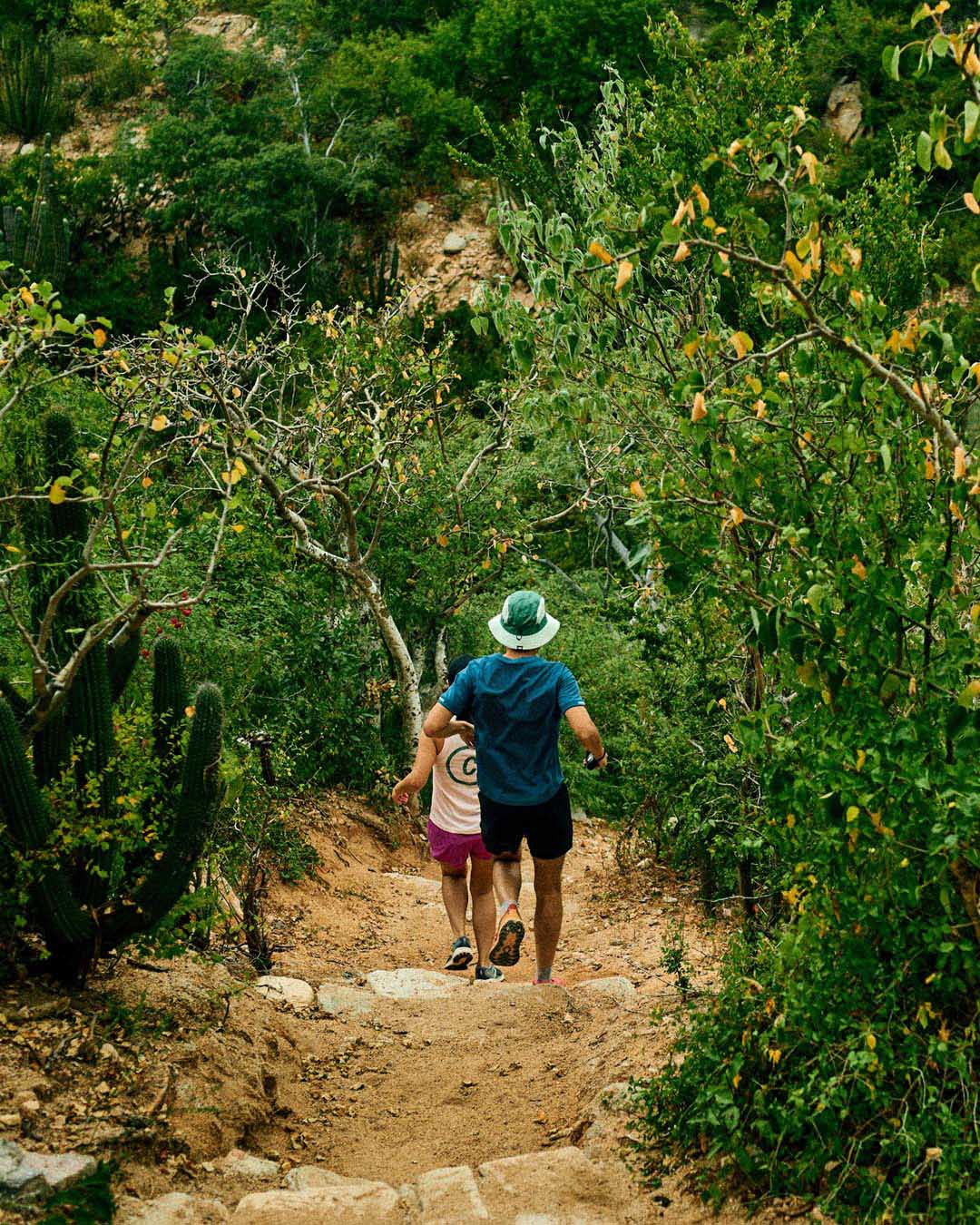 ciele athletics archive - BKTHat - Standard SL - Tuckermoss - 12