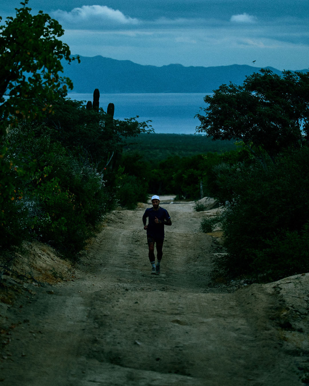 ciele athletics archive - NSBTShirt - Athletics Loopy - Myrtle - 11